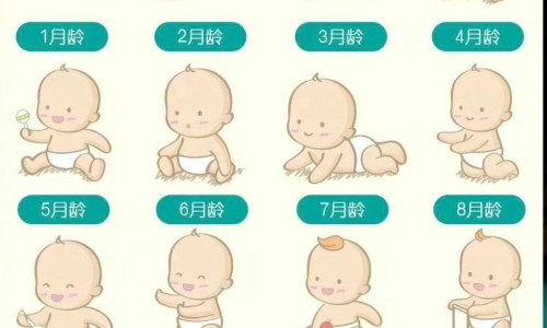试管婴儿有没有具体的要求呢-【试管婴儿有什么要求】做试管婴儿的 - 试管婴儿有没有具体的要求网